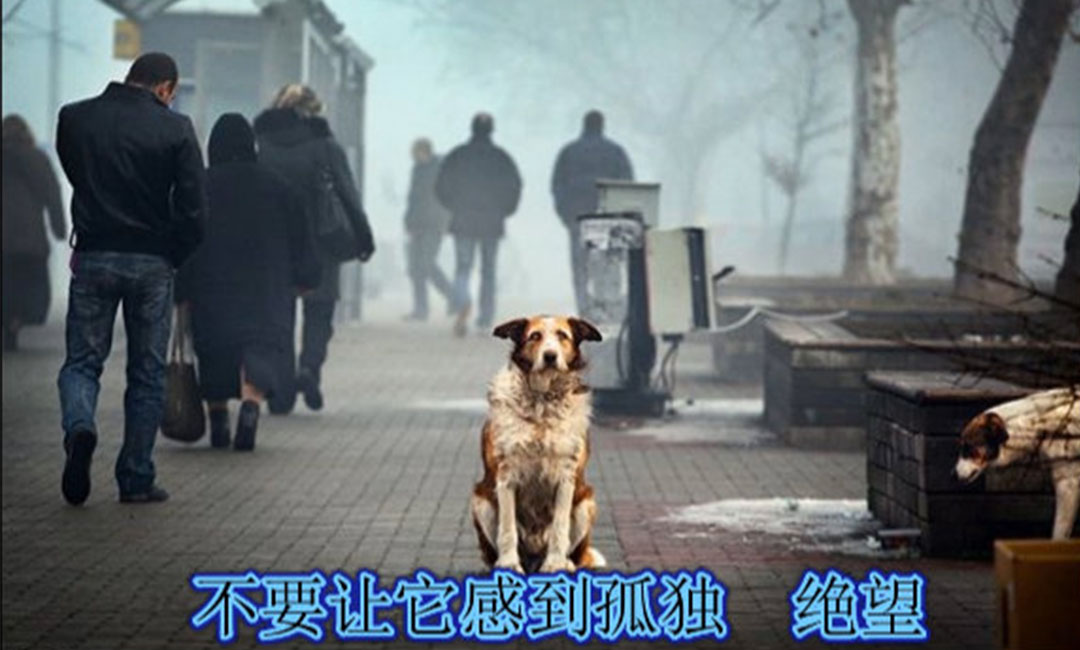 揭阳揭阳爱影圈微博微信转发案例